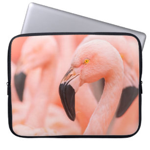 Chilean flamingo (Phoenicopterus chilensis), with  Laptop Sleeve