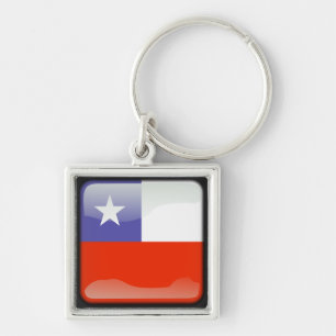 Chilean polished key ring