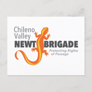 Chileno Valley Newt Brigade Postcard
