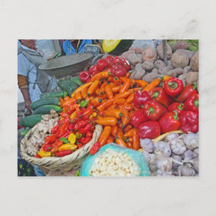 Chiles and More Postcard