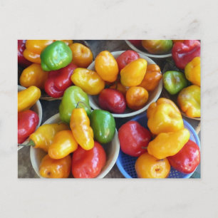 CHILIES POSTCARD