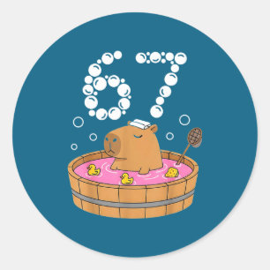 Chill Bath Tub Capybara Sauna 67 Relaxed Animal Fu Classic Round Sticker