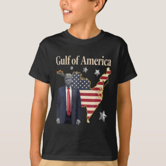 Chill Greeting From The Gulf Of Usa America Patrio T-Shirt