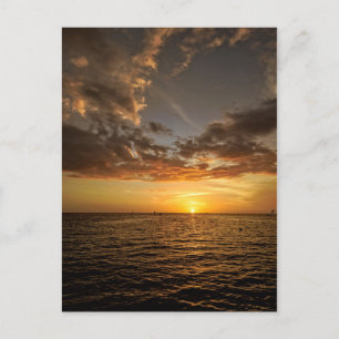 Chill Out in the Florida Sunset Postcard