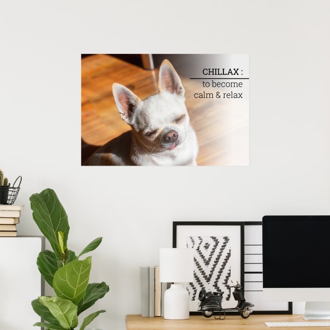 Chillax Chihuahua sleepy relaxed tongue out Photo Poster (Home Office)