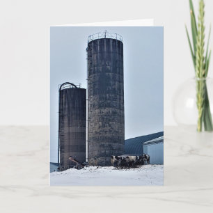 "Chilled Beef" Birthday Card