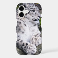 Chilled Out Snow Leopard