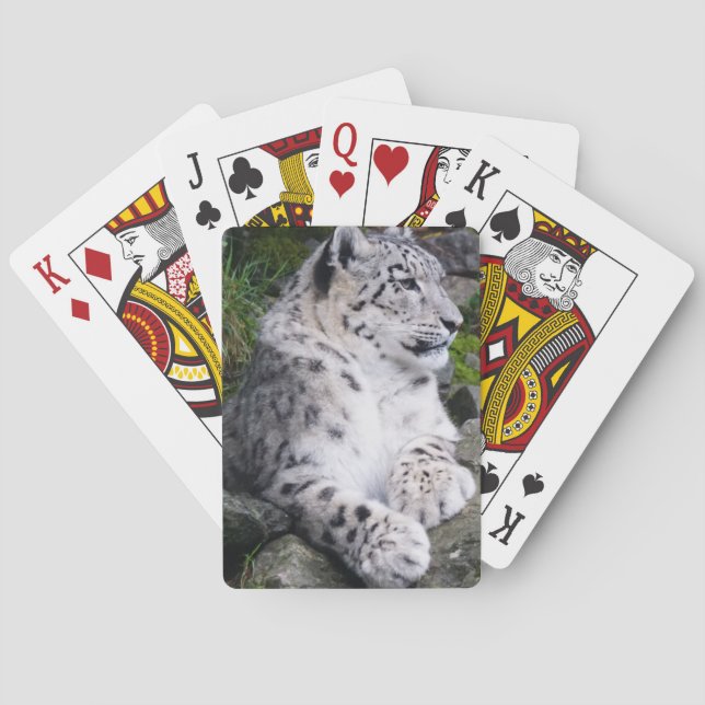 Chilled Out Snow Leopard Playing Cards (Back)