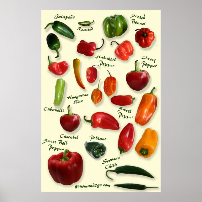 Chilli ID Poster (Front)
