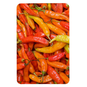 Chilli Magnet