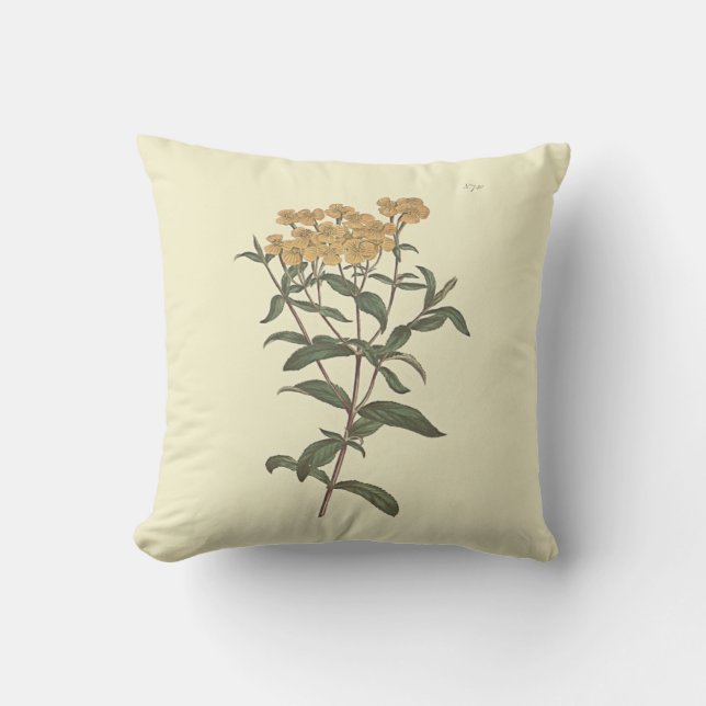 Chilli Marigold Botanical Illustration Cushion (Front)
