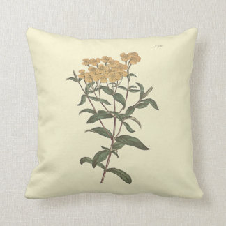 Chilli Marigold Botanical Illustration Cushion
