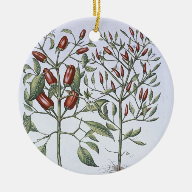 Chilli Pepper plants, from the 'Hortus Eystettensi Ceramic Tree Decoration (Front)