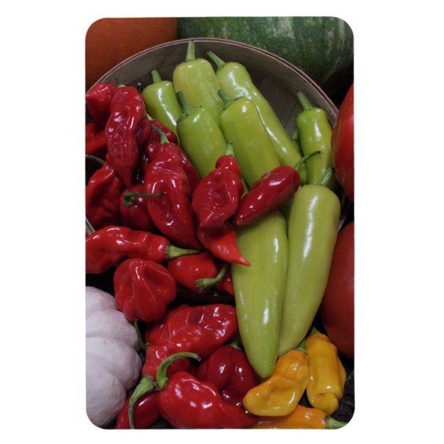 Chilli Peppers Etc. Magnet (Vertical)