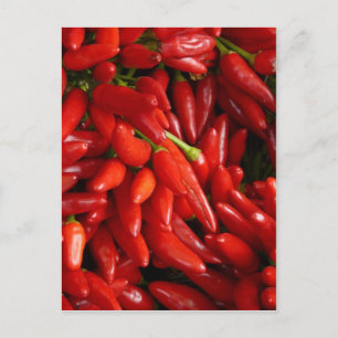 Chilli Peppers Postcard