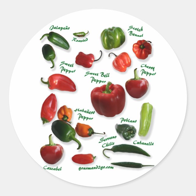 Chilli Varieties Classic Round Sticker (Front)