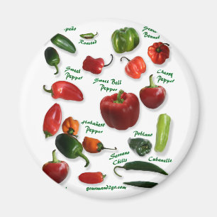 Chilli Varieties Magnet