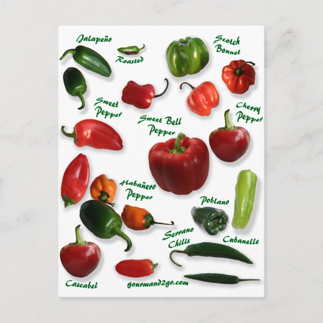 Chilli Varieties Postcard (Front)