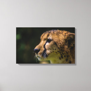 chillin canvas print
