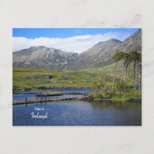 Chillin in the Killarney Countryside- Ireland Postcard