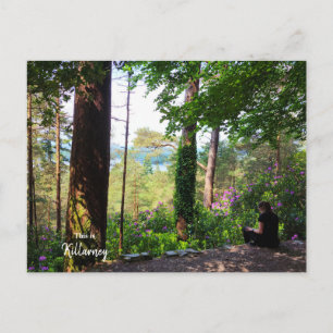 Chillin in the Killarney Countryside- Ireland Postcard