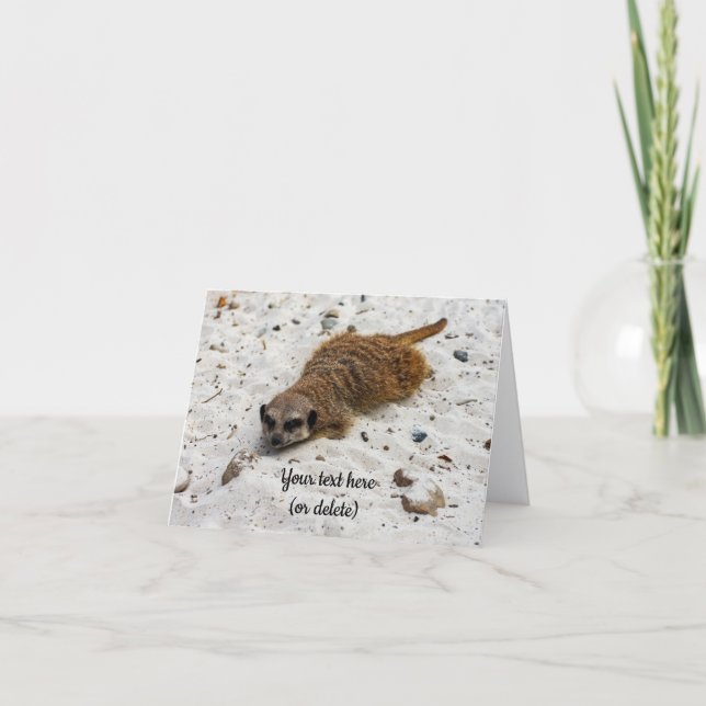 Chillin' Meerkat Folded Greeting Card (Front)