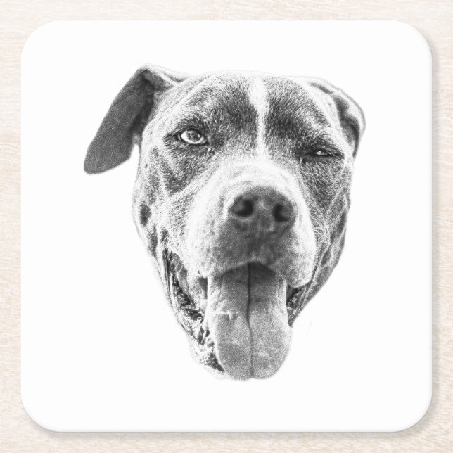 Chilly Dusk Canine Echo Square Paper Coaster (Front)