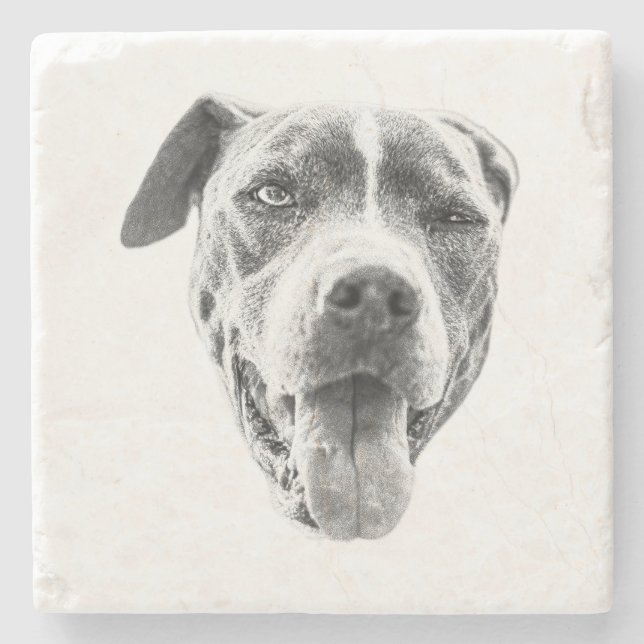 Chilly Dusk Canine Echo Stone Coaster (Front)