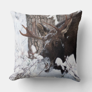 Chilly Moose Cushion