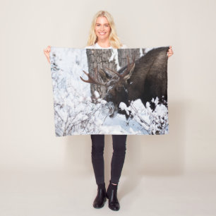 Chilly Moose Fleece Blanket