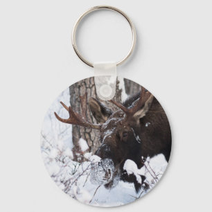 Chilly Moose Key Ring