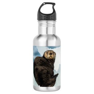 Chilly Sea Otter 532 Ml Water Bottle