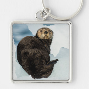 Chilly Sea Otter Key Ring