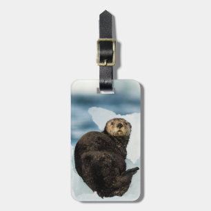 Chilly Sea Otter Luggage Tag