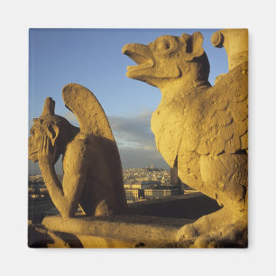 Chimera, re Dame Cathedral, Paris, France Magnet
