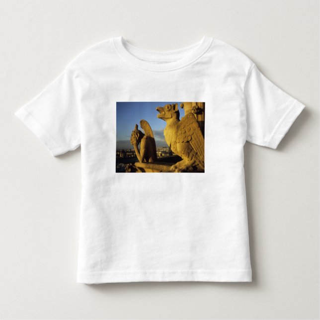 Chimera, re Dame Cathedral, Paris, France Toddler T-Shirt (Front)