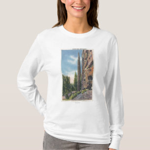 Chimney Rock on Cody Highway, Montana View T-Shirt