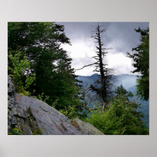chimney Top Trail at The Great Smoky Mountains Poster