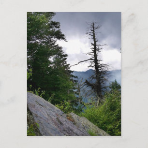 Chimney Tops great smoky mountains Postcard