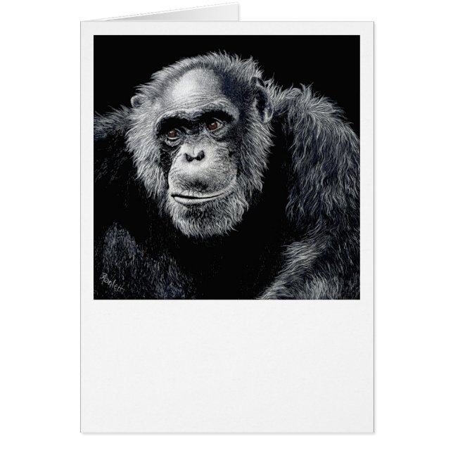 Chimp Card - "Jacob" (Front)