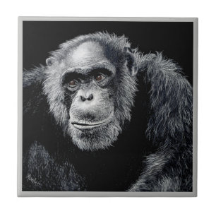 Chimp Tile - "Jacob"