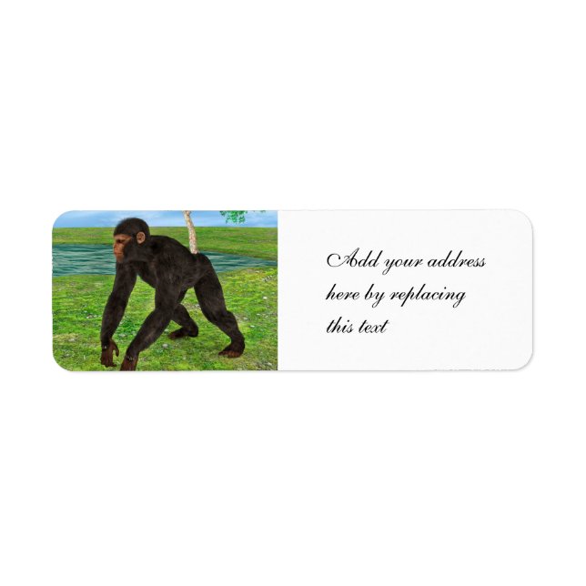 Chimpanzee (Front)