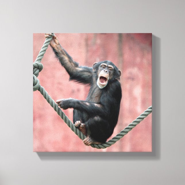 Chimpanzee 001 canvas print (Front)