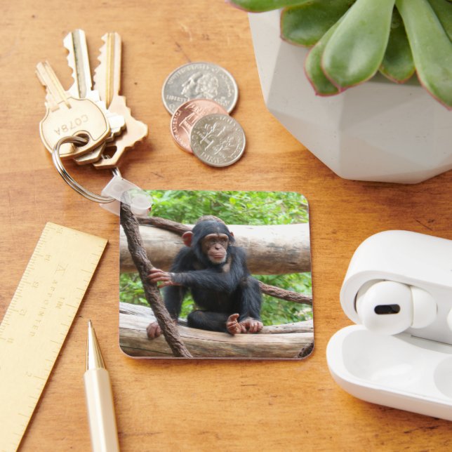 Chimpanzee 001 key ring (Desk)