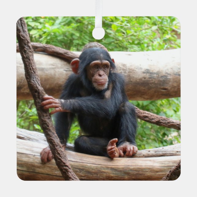 Chimpanzee 001 metal tree decoration (Front)