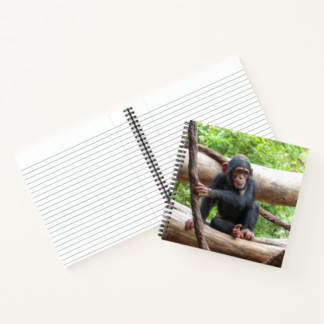 Chimpanzee 001 notebook (Inside)