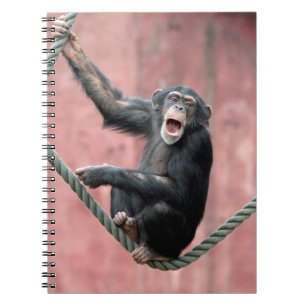 Chimpanzee 001 spiral notebook