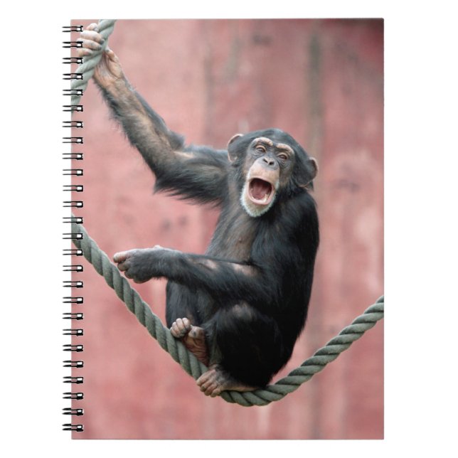 Chimpanzee 001 spiral notebook (Front)