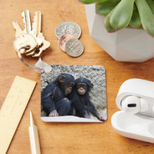 Chimpanzee 002 key ring
