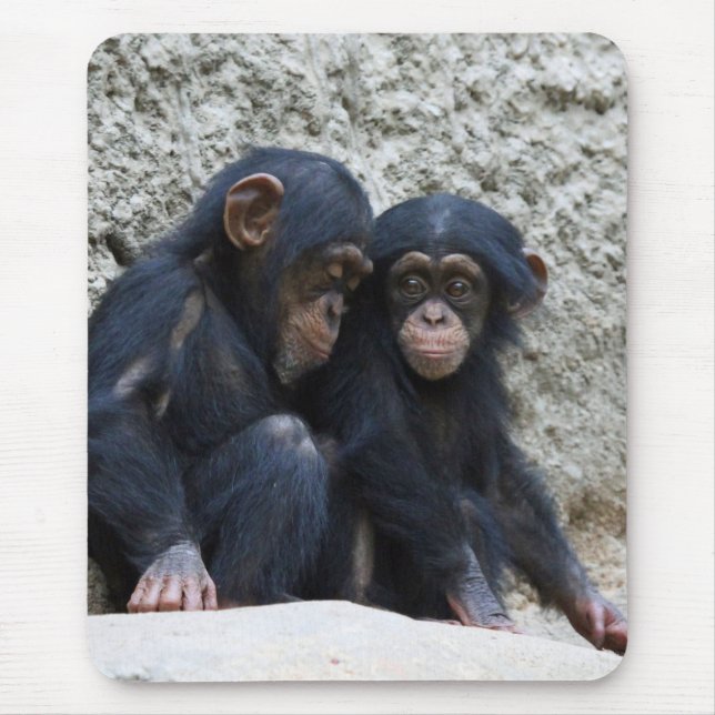 Chimpanzee 002 mouse pad (Front)
